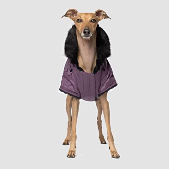 Canada Pooch Urban Wax Parka Jacket - Picture 6 of 8